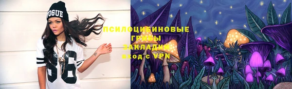 PSILOCYBIN Елизово