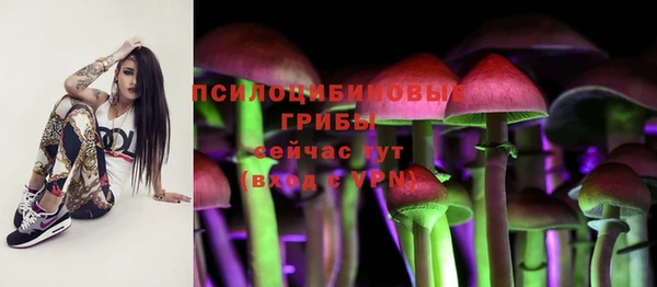 spice Ельня