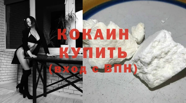 spice Ельня
