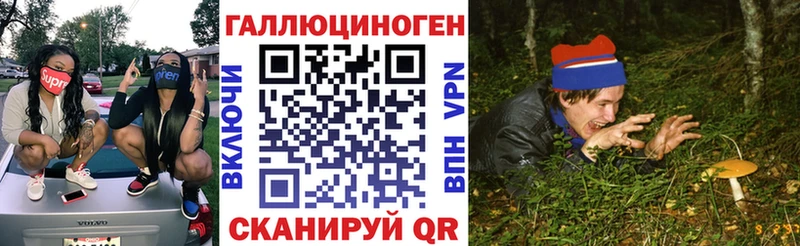Псилоцибиновые грибы Psilocybe  Купить закладки  Кыштым 